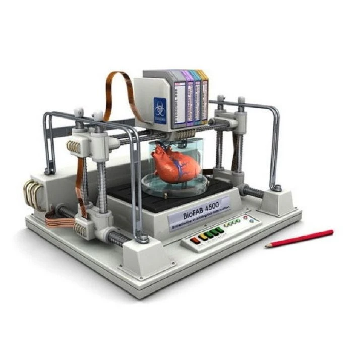 3D bioprinting od strukture do funkcije
